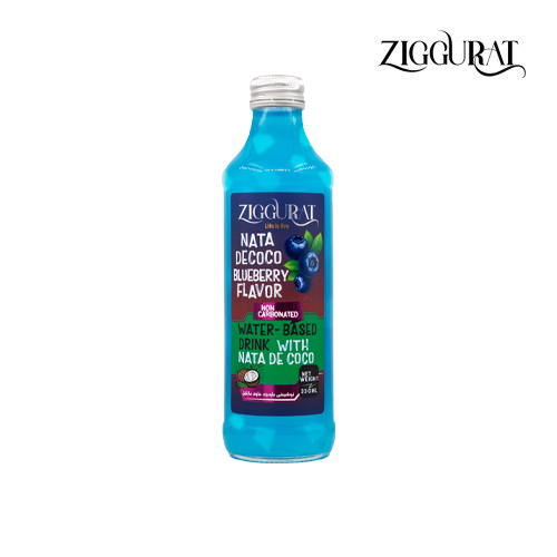 نوشیدنی-تکه-نارگیل-با-طعم-بلوبری-300ml