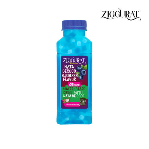 نوشیدنی-تکه-نارگیل-با-طعم-بلوبری-330ml